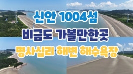 네이버 인플루언서 [네이버 인플루언서] 신안 1004섬 비금도 가볼만한곳 명사십리 해변 해수욕장