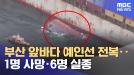부산 앞바다 예인선 전복 - 1명 사망, 6명 실종 - 더불어민주당 마이너 갤러리