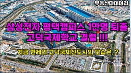 평택 축소한다더니 미국으로 가분듯 - 정치, 사회 갤러리