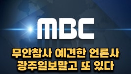 광주일보 말고 또 ? ? - 국민의힘 비대위 마이너 갤러리