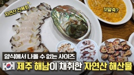 네이버 인플루언서 [네이버 인플루언서] 노량진에서 수십만원하는 싱싱한 자연산 전복을 제주에서 더 저렴하게 맛볼 수 있다?ㅣ제주 일통이반