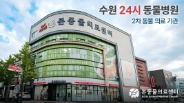 네이버 인플루언서 [네이버 인플루언서] 본동물의료센터 홍보영상