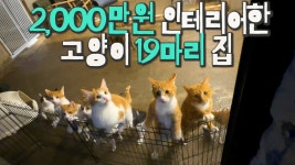 파브 사장님 캣대디였노 - 바이크 여행 마이너 갤러리