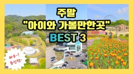네이버 인플루언서 [네이버 인플루언서] 아이와 인생 체험부터 부모 만족 100% 코스까지 용인 BEST3 총정리