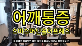 네이버 인플루언서 [네이버 인플루언서] 오직 PT만 10년 KNPT의 어깨운동
