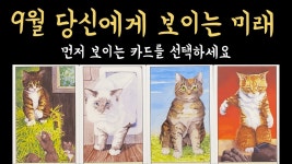 타로 정확한거 같아서 소름돋네 - 한석원 마이너 갤러리