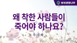 왜 착한 사람들이 죽어야 하나요 - 역학 갤러리