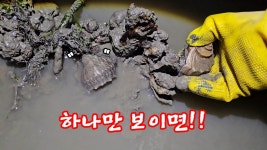 네이버 인플루언서 [네이버 인플루언서] 말뚝에 하나만 보이면 양동이부터 챙겨 나온다는 이곳!