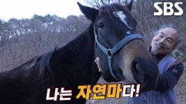 남도형 성우 버전 들으니 색다르네 ㅋㅋ - 라디오 드라마 마이너 갤러리