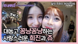 더쿠 - 츄 입덕가이드
