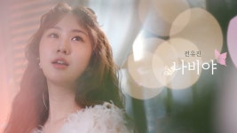 나비야 - TV조선 마이너 갤러리