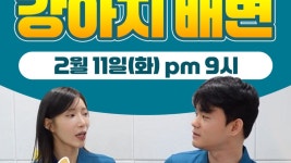 네이버 인플루언서 [네이버 인플루언서] 2월11일 라방 무엇이든 물어보개