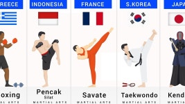 무술의 역사를 보시오.youtube - UFC 갤러리