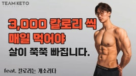 칼로리의 진실 - 저탄고지 다이어트 마이너 갤러리