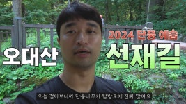 네이버 인플루언서 [네이버 인플루언서] 가을이 오면 생각나는 길 【오대산국립공원 선재길】