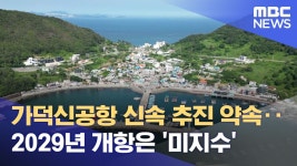 가덕도신공항 정상화 but 개항시기는 미지수 - 새로운보수당 마이너 갤러리