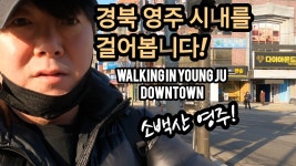 사람이 없는 영주시내 - 도시 갤러리