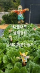 나름대로도시농부 - YouTube
