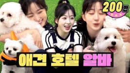 두광이 워크돌 떴냐? - 직캠 미니 갤러리