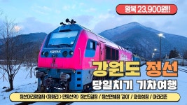 네이버 인플루언서 [네이버 인플루언서] 대중교통으로 떠나는 강원도 청정지역 정선 당일치기 기차여행!  청량리 양평 원주 제천 영월 정선을 거쳐... 