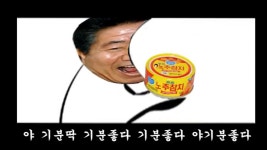 [합필갤 고전 작품 백업] 노추참치송 영상화 - 합성-영상 마이너 갤러리