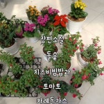 유랜드TV 유충열 - YouTube 유랜드TV 유충열