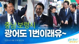 민주당지도부 보령 대천항수산시장 방문영상 - 더불어민주당 마이너 갤러리