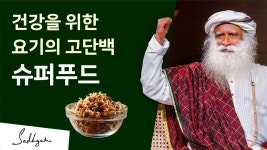 대충 살거면 아무거나 먹어라 - 현자타임 마이너 갤러리