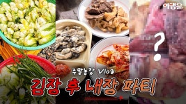 네이버 인플루언서 [네이버 인플루언서] 김장 끝나자마자 소 내장 특수부위 끓여먹음 🥬🥩🔥 | 주말농장 Vlog #여행윤