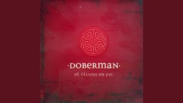 Bonanza - Doberman | Shazam Bonanza - Doberman