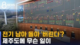 전기 남아 버릴 정도…신재생 모범지대 제주도 - 더불어민주당 마이너 갤러리