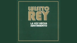 Vete - Luisito Rey | Shazam Vete - Luisito Rey
