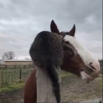 Bergland - YouTube Bergland