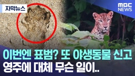 영주는 도대체 뭐하는 곳임? - 공룡 마이너 갤러리