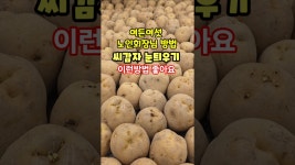 네이버 인플루언서 [네이버 인플루언서] 씨감자 눈틔우기 수미감자 감물감자 괴산감자 충북 괴산 풀뿌리농장 #shorts