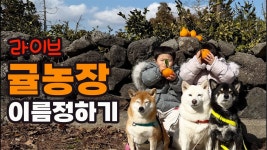 네이버 인플루언서 [네이버 인플루언서] 농장 이름 같이 정해요~