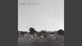 PINK MOON - Sunny Day Service | Shazam PINK MOON - Sunny Day Service