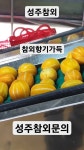 성주참외 참앤조아 - YouTube
