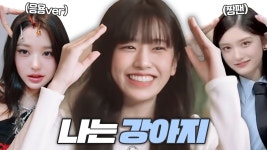 나는 강아지 - 더불어민주당 마이너 갤러리