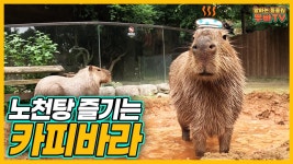 뿌빠타운 뿌직이 빠직이.. - 바오패밀리 마이너 갤러리