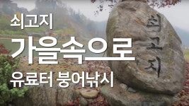 가평 쇠고지 붕어낚시 조행기 - YouTube 가평 쇠고지 붕어낚시 조행기