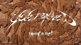 CD-R (unerthed) - Toro y Moi: 노래 가사, 뮤직 비디오 및 콘서트