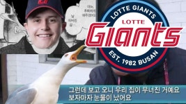 2025년 롯데 자이언츠 요약.youtube - 더불어민주당 마이너 갤러리