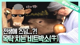 목탁치는 소 ㄹㅇ 있더라 - 우울증 갤러리