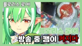 방송중 캠 켜진 로에 - 숲 버츄얼 미니 갤러리