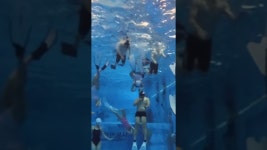 네이버 인플루언서 [네이버 인플루언서] 물속에서 교통사고 쾅-!!! #드랍더다이빙 #swimming #프리다이빙 #swim #freediving #씽강사... 