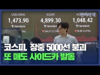 코스피, 장중 5000선 붕괴…또 매도 사이드카 발동 | 한국경제 코스피, 장중 5000선 붕괴…또 매도 사이드카 발동 [HK영상]