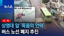 이 도로는 도대체 누가 설계한 거냐 - 새로운보수당 마이너 갤러리