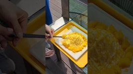 네이버 인플루언서 [네이버 인플루언서] 태안 빙수 맛집에비둘기도 빙수 먹으러 왔어요#태안빙수맛집#태안오션뷰카페#태안빙수카페#천만금카페