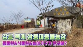 네이버 인플루언서 [네이버 인플루언서] 강릉 옥계 쌍둥이동물농장, 강릉 가족여행 아이랑 가볼만한곳 (동물원, 식물원, 놀이기구) 모두 있네!